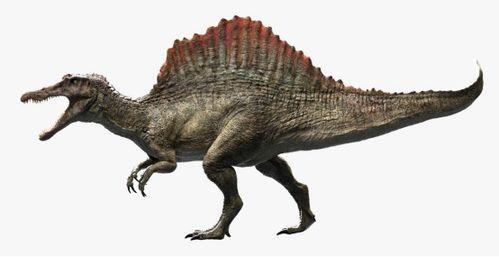 最新爆料异特龙图片大全,揭秘史前巨兽的真实面貌 第1张 最新爆料异特龙图片大全,揭秘史前巨兽的真实面貌 第1张